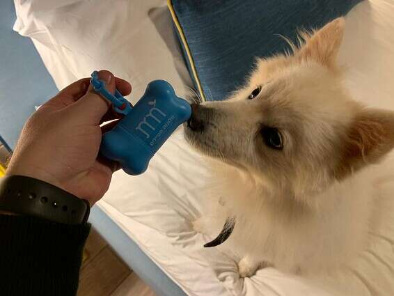 שי לכל אורח על ארבע